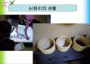 [아동미술/유아미술A+] 국립어린이박물관 소개,분석 및 시각장애 체험 프로그램  14페이지