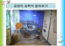 [아동미술/유아미술A+] 국립어린이박물관 소개,분석 및 시각장애 체험 프로그램  16페이지
