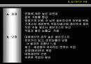 설비배치 종류  13페이지