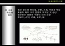 설비배치 종류  16페이지