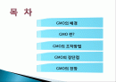 현대 생명공학(GMO) 과학기술의 융합적이해  2페이지