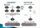 현대 생명공학(GMO) 과학기술의 융합적이해  5페이지