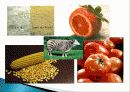 현대 생명공학(GMO) 과학기술의 융합적이해  6페이지