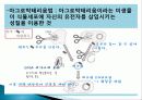 현대 생명공학(GMO) 과학기술의 융합적이해  8페이지