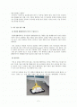 무역사례 조사 - 국제지역환경의 차이로 인한 무역거래 실패 성공사례 2페이지