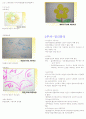 미술치료의이해-영남대 필기 + 사례그림첨부 자료 3페이지