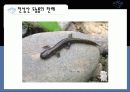 환경영향평가 10페이지