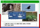 환경영향평가 19페이지
