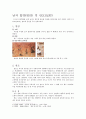 한국복식문화사 - 고구려 벽화에 나타난 관모와 머리모양 2페이지