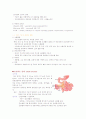소화기계의 구성 7페이지