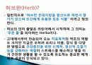 허브를 이용한 치료(허브차&오일마사지&아로마테라피) 2페이지