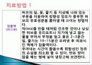 허브를 이용한 치료(허브차&오일마사지&아로마테라피) 4페이지