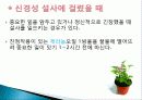 허브를 이용한 치료(허브차&오일마사지&아로마테라피) 14페이지