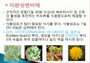 허브를 이용한 치료(허브차&오일마사지&아로마테라피) 16페이지