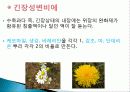 허브를 이용한 치료(허브차&오일마사지&아로마테라피) 17페이지