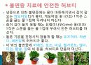 허브를 이용한 치료(허브차&오일마사지&아로마테라피) 18페이지