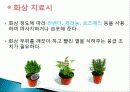 허브를 이용한 치료(허브차&오일마사지&아로마테라피) 24페이지