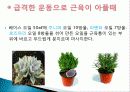 허브를 이용한 치료(허브차&오일마사지&아로마테라피) 34페이지