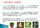허브를 이용한 치료(허브차&오일마사지&아로마테라피) 36페이지