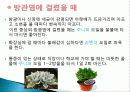 허브를 이용한 치료(허브차&오일마사지&아로마테라피) 38페이지