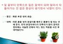 허브를 이용한 치료(허브차&오일마사지&아로마테라피) 40페이지