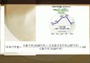 국제 무역과 국민 경제 29페이지