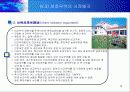 경제성장과 무역의 역할 11페이지