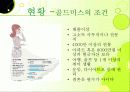 [사회문화A+] 골드미스(능력 있는 30대 미혼 여성) 현황과 영향력 및 여성이미지 분석 4페이지