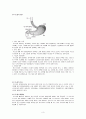 식도암 (esophageal cancer)csae study 3페이지