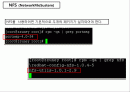 NFS (NetworkFileSustem) 2페이지