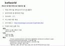 침해사고 분석 프로그램(icesworld) 3페이지