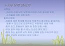 인간관계와의사소통론 5페이지