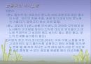 인간관계와의사소통론 13페이지