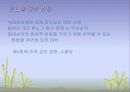 인간관계와의사소통론 14페이지