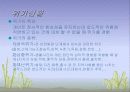 인간관계와의사소통론 16페이지