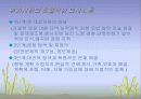 인간관계와의사소통론 17페이지