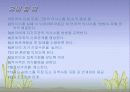 인간관계와의사소통론 27페이지