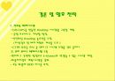 한진택배SWOP, STP,5C  12페이지