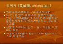 식물생리학, 엽록체 2페이지