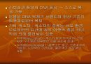 식물생리학, 엽록체 3페이지
