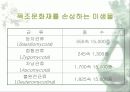 [분석/조사] 미생물이 문화재에 미치는 영향 4페이지