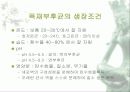 [분석/조사] 미생물이 문화재에 미치는 영향 6페이지