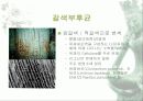 [분석/조사] 미생물이 문화재에 미치는 영향 7페이지