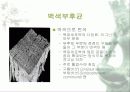 [분석/조사] 미생물이 문화재에 미치는 영향 8페이지
