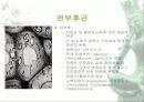[분석/조사] 미생물이 문화재에 미치는 영향 9페이지