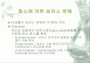 [분석/조사] 미생물이 문화재에 미치는 영향 10페이지