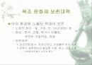 [분석/조사] 미생물이 문화재에 미치는 영향 11페이지