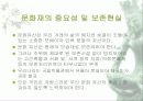 [분석/조사] 미생물이 문화재에 미치는 영향 12페이지
