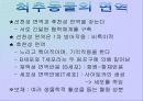 면역계에 대한 발표 PPT 5페이지