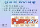 면역계에 대한 발표 PPT 7페이지